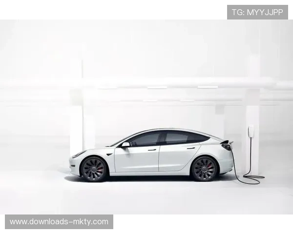 体育服务供应链强调本地化布局,缩短应急响应半径