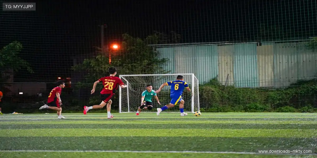 起跑线是弓,运动员是箭。🌅 ✨